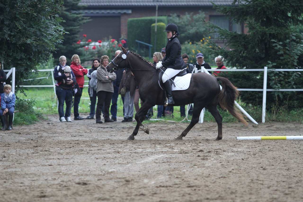Bild 467 - WBO-Turnier am 18.9.11
